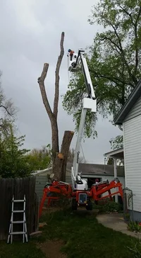 Easy Lift 70-36AJ Tree Care 10.webp