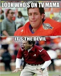 fb61996dd3026bf9df31f6d00a375a01--funny-football-auburn-football.webp
