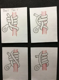 IMG_1481.webp IMG_1481.webp