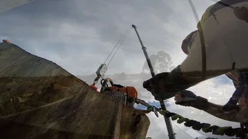 two crane transitions.webp