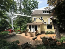 Easy Lift 87-48AJ 48' outreach w 265lbs.webp