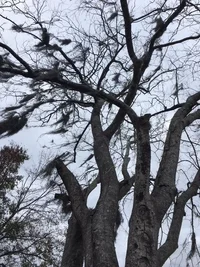 4821 Virginia Ave 1.webp