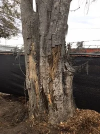 4821 Virginia Ave 2.webp