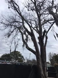 4821 Virginia Ave 3.webp