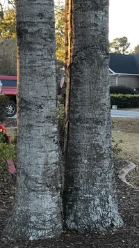 Photo Dec 30, 8 19 21 AM.webp