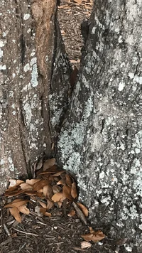 Photo Dec 30, 8 20 15 AM.webp