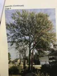 Photo Dec 29, 4 51 14 PM.webp