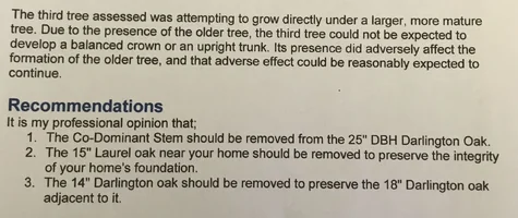 Eric wagner report excert.webp