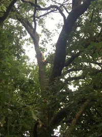 7752628E-EC6A-4D57-8F7A-EA6BCCE95723.webp 7752628E-EC6A-4D57-8F7A-EA6BCCE95723.webp