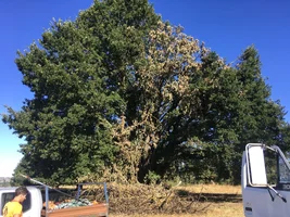 E2B3199C-0C95-4C14-B16E-364B364CD632.webp E2B3199C-0C95-4C14-B16E-364B364CD632.webp