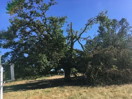 33892D23-AFF8-4A23-882B-F17A45C9124B.webp 33892D23-AFF8-4A23-882B-F17A45C9124B.webp