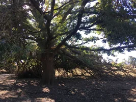 A859C619-AD9E-47A3-BD16-26765FE6605C.webp A859C619-AD9E-47A3-BD16-26765FE6605C.webp