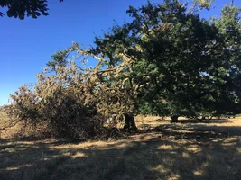 94E2DD16-3F56-41A5-B6C9-67CCBF9F8692.webp 94E2DD16-3F56-41A5-B6C9-67CCBF9F8692.webp