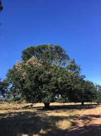 0A23888E-E274-40AE-90D1-BB32A9F5D917.webp 0A23888E-E274-40AE-90D1-BB32A9F5D917.webp