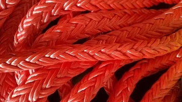 20180110_125222 (Small).webp