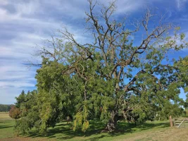 IMG_6675.webp IMG_6675.webp