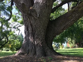 IMG_6667.webp IMG_6667.webp