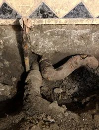 Tracing Root Under Slab Back To Tree.webp