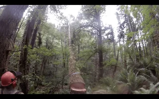 Screen Shot 2018-01-29 at 12.43.30 PM.webp