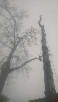 9EE8F8B2-D223-4E27-BFE6-565B945CDC66.webp 9EE8F8B2-D223-4E27-BFE6-565B945CDC66.webp