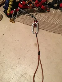 Brocks Belly Bound Bi Bungy Bringerupper.webp