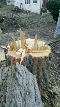 fatboy locust hinge 2.webp