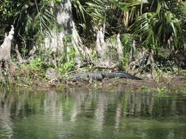 Liars Club Fl meeting March 2018 023 resize.webp