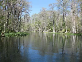 Florida March 2016 025.webp