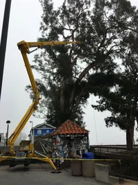 3F5A766D-D62E-451B-A8E8-E8FB3C08BE1D.webp 3F5A766D-D62E-451B-A8E8-E8FB3C08BE1D.webp