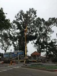 42A99D7F-8D03-4B9A-8C73-D802C44CEEE5.webp 42A99D7F-8D03-4B9A-8C73-D802C44CEEE5.webp