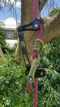 2018-04-12 11.47.15.webp