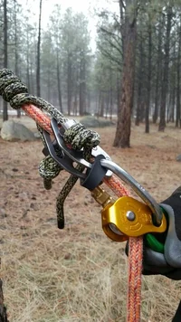 2015-01-09 08.03.33_resized.webp