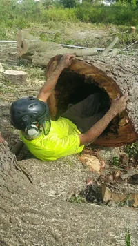 2018-04-19 11.10.45.webp