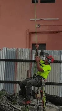 2018-04-19 11.13.45.webp