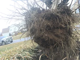 AF9F194D-F04E-47EA-AEE8-2A515BEBE89F.webp AF9F194D-F04E-47EA-AEE8-2A515BEBE89F.webp