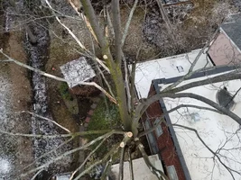 20180418_081915.webp 20180418_081915.webp