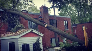 received_1668097963220853.webp received_1668097963220853.webp