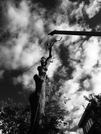 FB_IMG_1524322643379.webp FB_IMG_1524322643379.webp