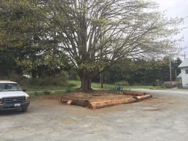 219018D1-1450-4CCF-B0E3-179559B226DD.webp 219018D1-1450-4CCF-B0E3-179559B226DD.webp