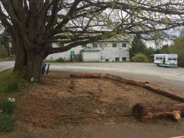 1BD2DD68-6ADF-4D3D-AB0C-7F15033EAF0B.webp 1BD2DD68-6ADF-4D3D-AB0C-7F15033EAF0B.webp