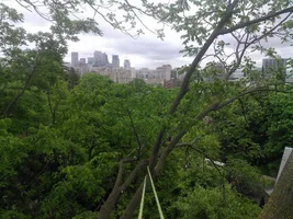 FB_IMG_1524337055823.webp FB_IMG_1524337055823.webp