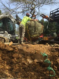 3F9D8760-67C6-4AB8-B069-C05AC4DFA212.webp 3F9D8760-67C6-4AB8-B069-C05AC4DFA212.webp