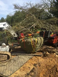 98C61E1B-B210-4D90-A646-0324C31F3D8C.webp 98C61E1B-B210-4D90-A646-0324C31F3D8C.webp