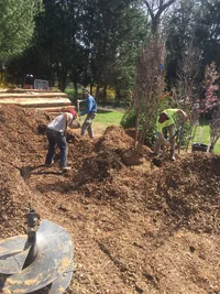 B8172CE8-40BE-46A8-962B-92AF7C226A81.webp B8172CE8-40BE-46A8-962B-92AF7C226A81.webp