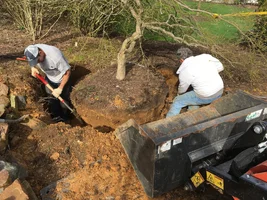 BA41EE44-37F4-4F2E-B186-83CD40532FA8.webp BA41EE44-37F4-4F2E-B186-83CD40532FA8.webp