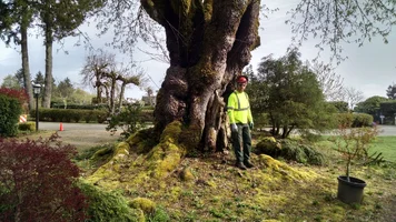 IMG_20180418_091307556_HDR.webp IMG_20180418_091307556_HDR.webp