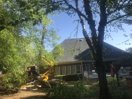 IMG_0415.webp IMG_0415.webp