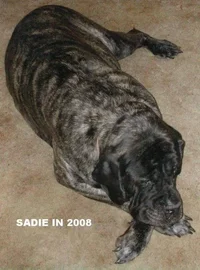 sadie2008.webp