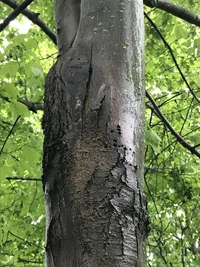 8F501F75-EAE5-4E65-859B-D3CD2356F8C4.webp 8F501F75-EAE5-4E65-859B-D3CD2356F8C4.webp