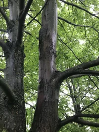 C04942FA-CC7B-453D-A0CD-6D1D1F654DBF.webp C04942FA-CC7B-453D-A0CD-6D1D1F654DBF.webp